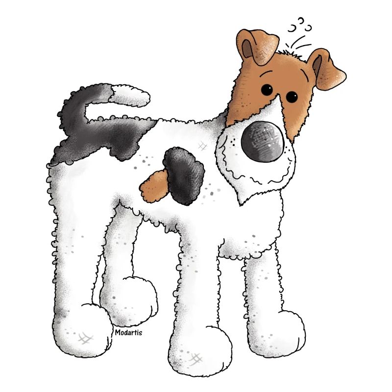 Foxterrier - Fox Terrier - Hund