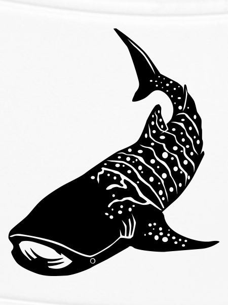 whaleshark 2