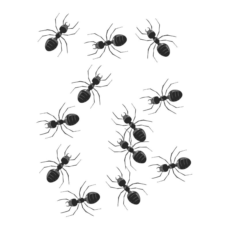 Fourmis fourmi insectes forêt animaux