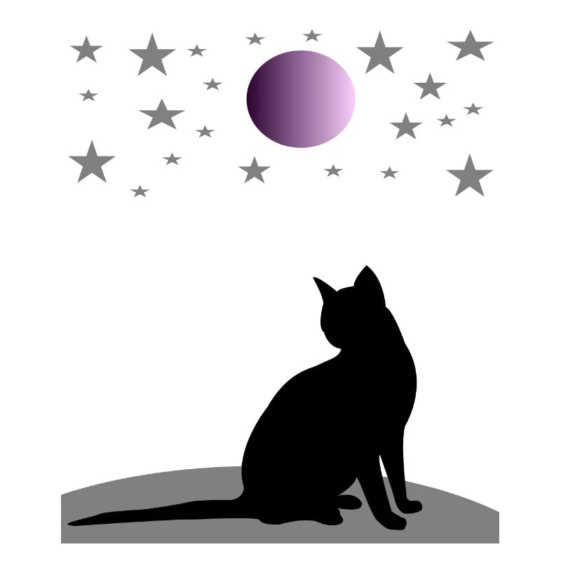 Sternenhimmel mit Mond und Katze