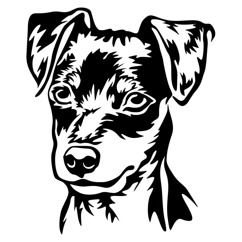 Miniature Pinscher head