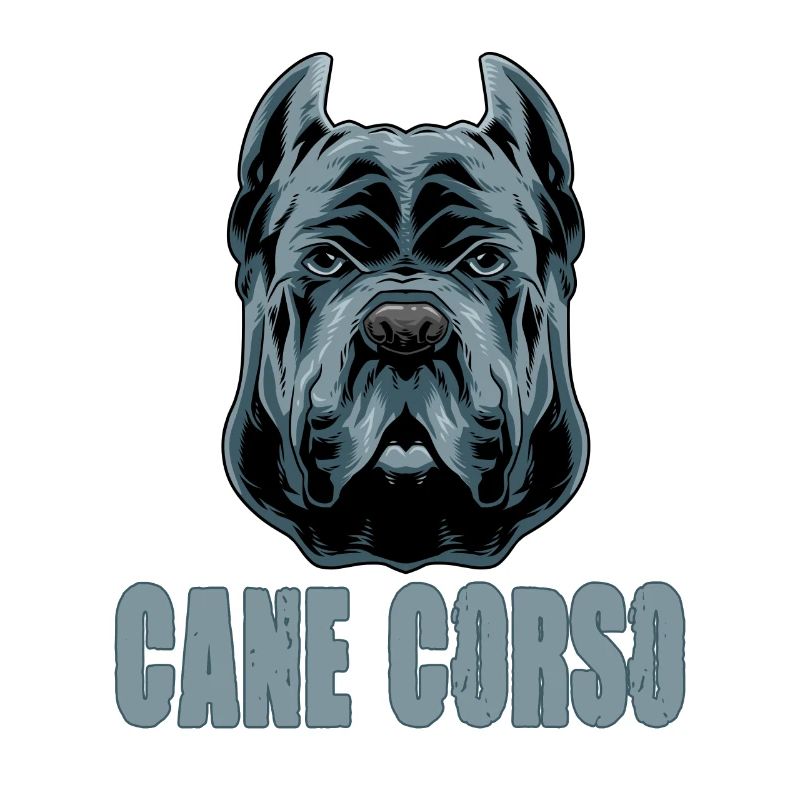 Cane Corso pour cane Corso propriétaire Cane