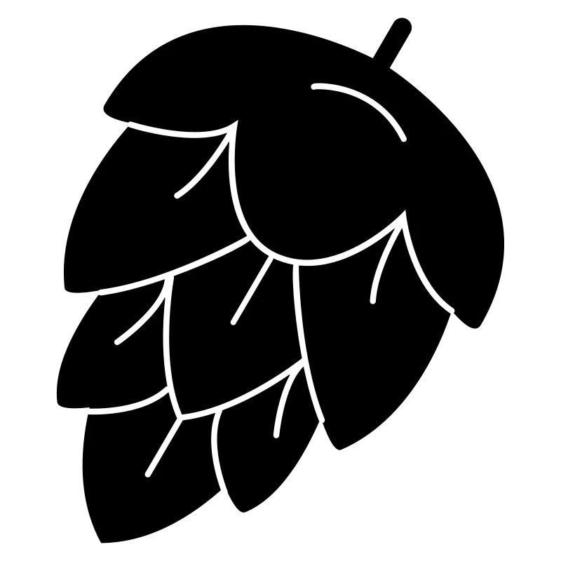 houblon pour la bière
