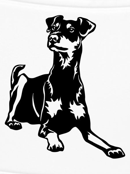 Deutscher Pinscher