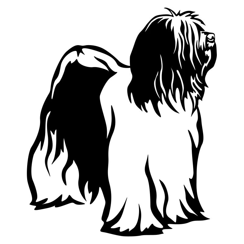 Tibet Terrier