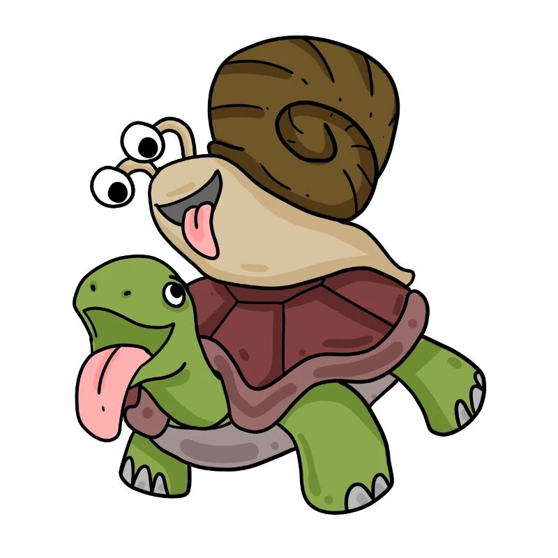 Schildkröte und Schnecke