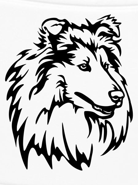 Collie Head