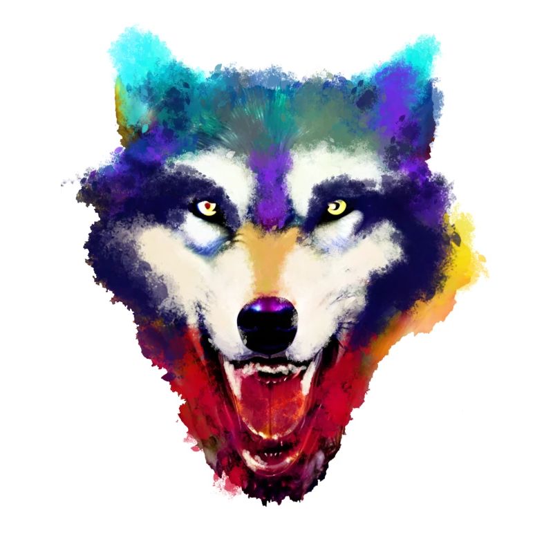 Wolfskopf Aquarelle colorée
