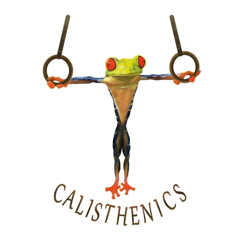 Calisthenics