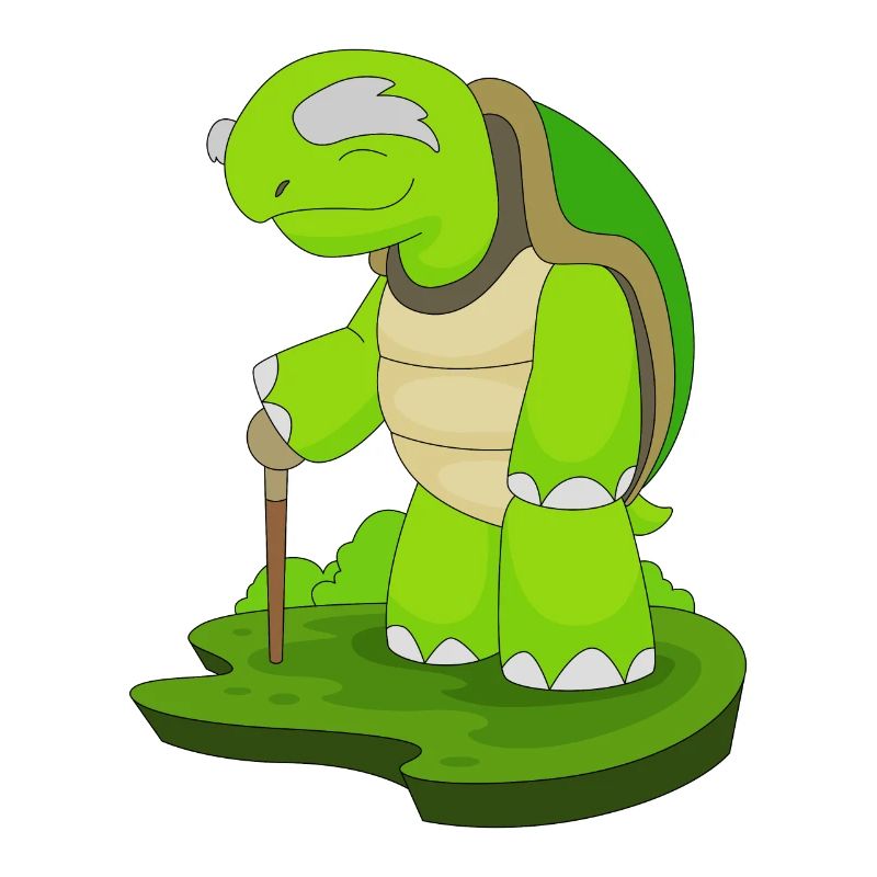Bâton de marche Turtle Retiree