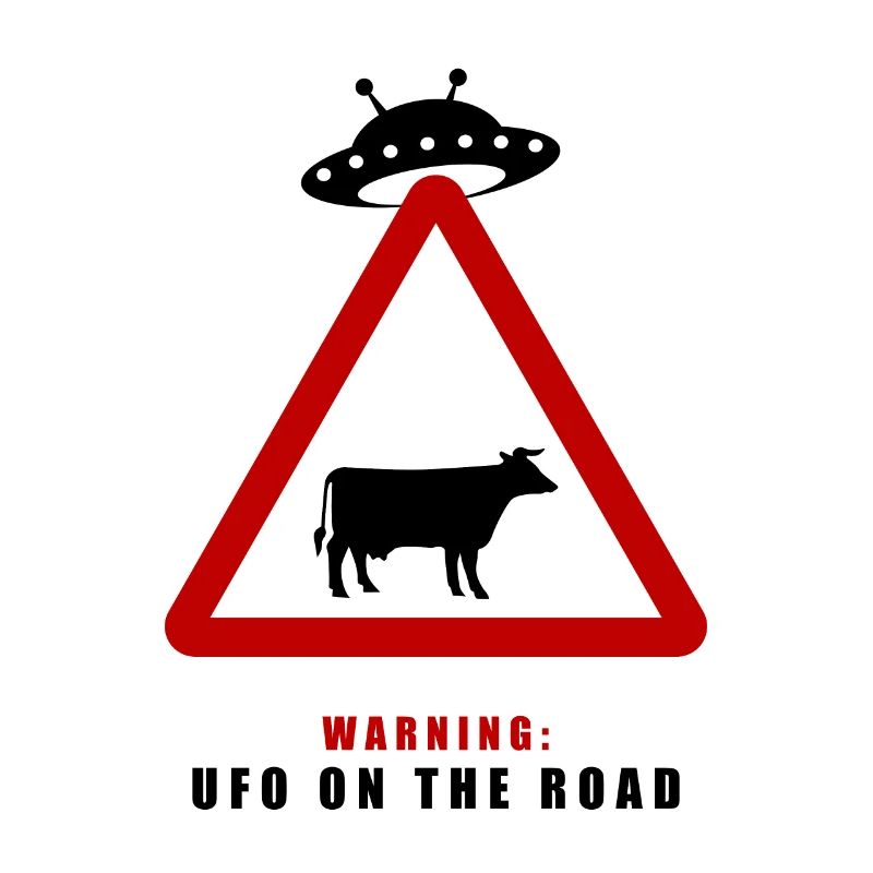 Warning! UFO on the road!