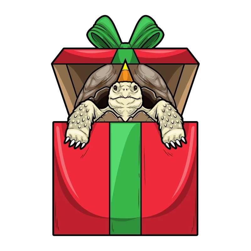 Turtle Birthday Package
