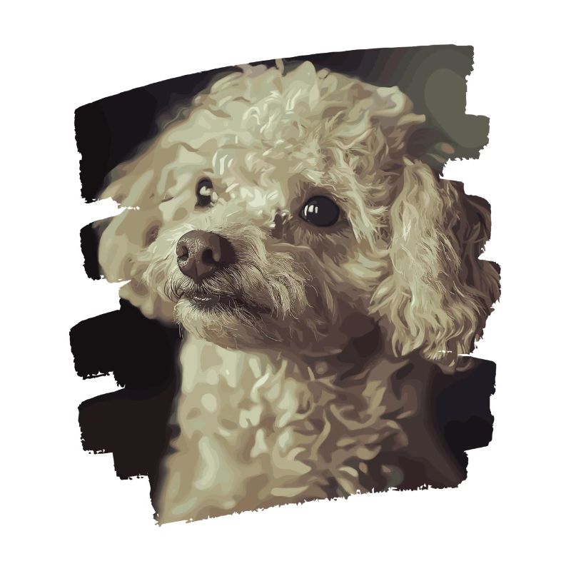 Pudel