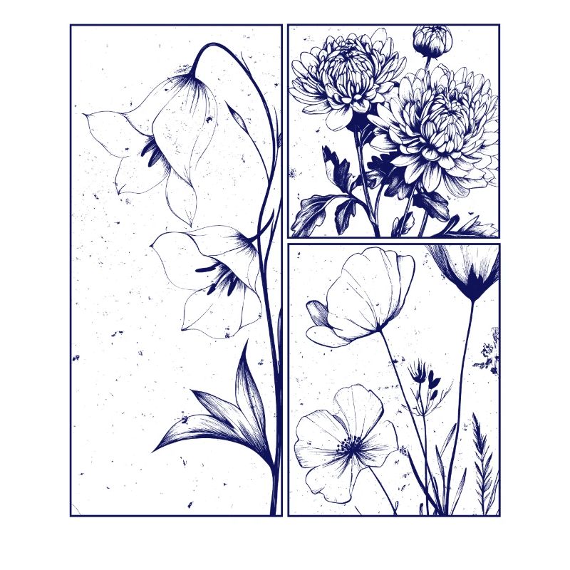Blumen Chrysantheme Campanula Botanik Geschenk