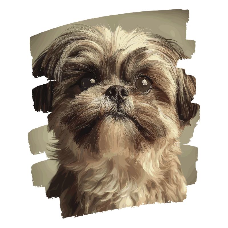 Shih Tzu