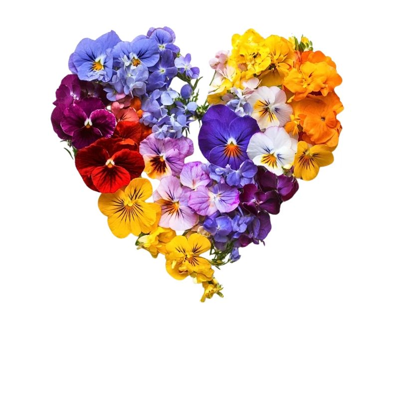 Cœur de pensées - Discours de fleur colorée