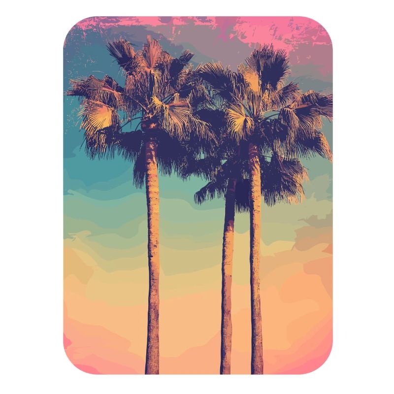Palm Tree Sunset Summer Sun