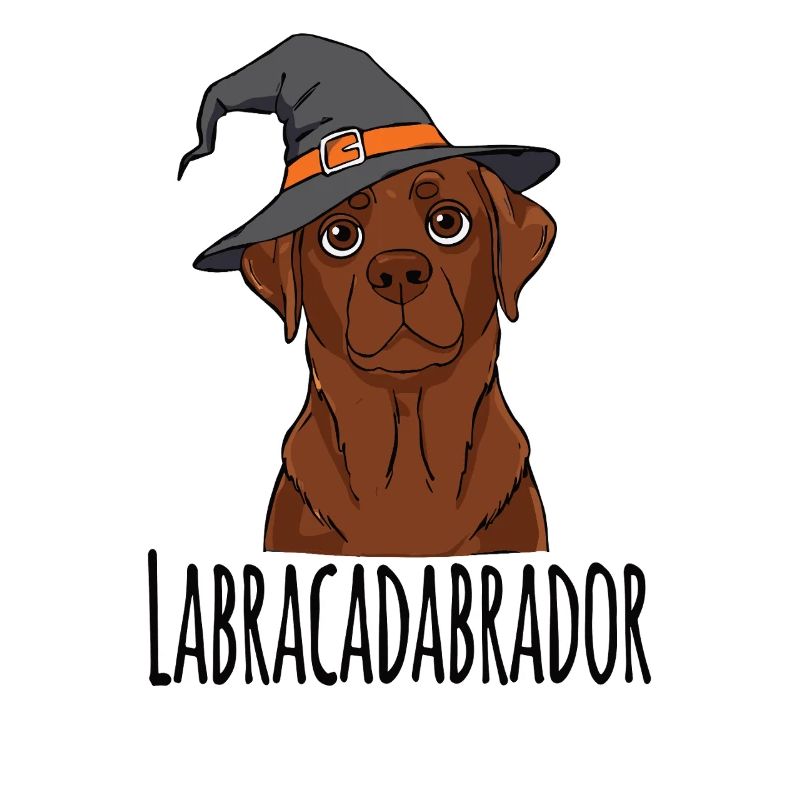 Conception de chapeau de sorcière Labracadabrador