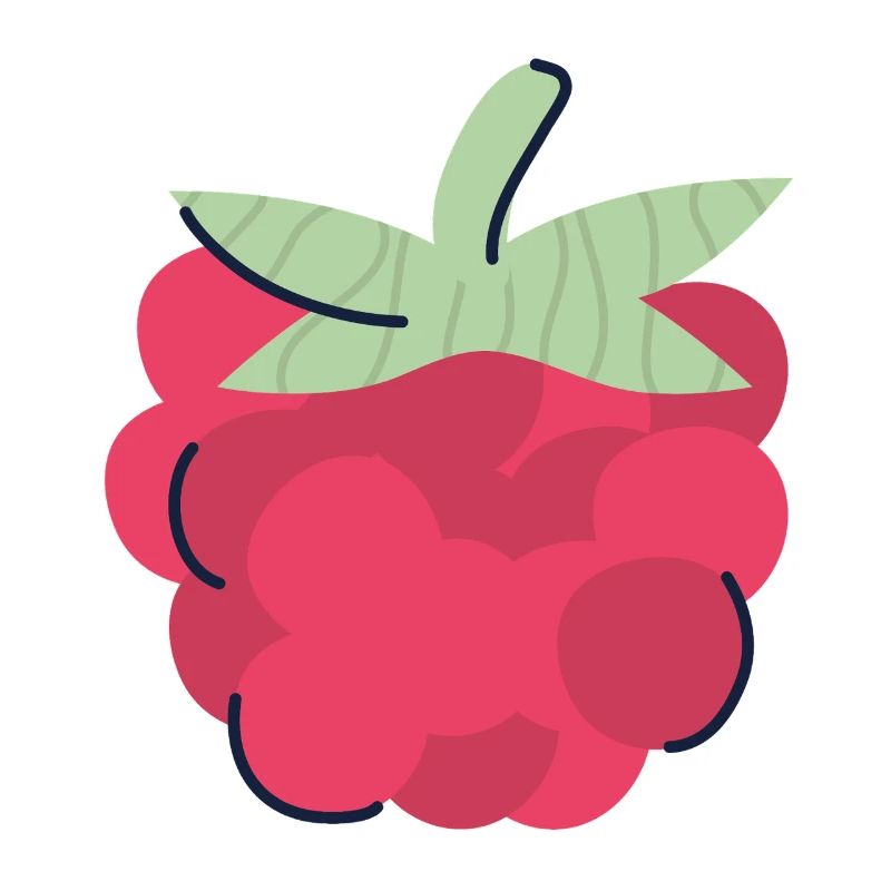 Raspberry Pop Art Berry