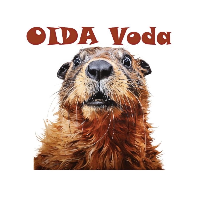 Oida Voda Création de marmotte