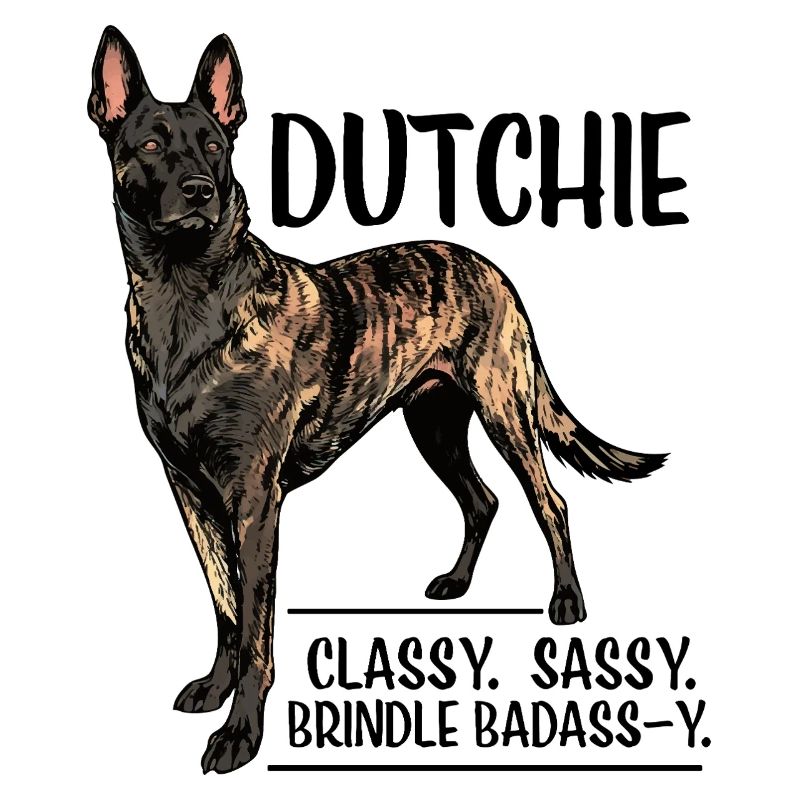 Dutchie - Holländischer Schäferhund
