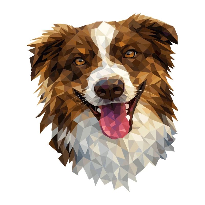 Australian Shepherd – Conception géométrique de chien