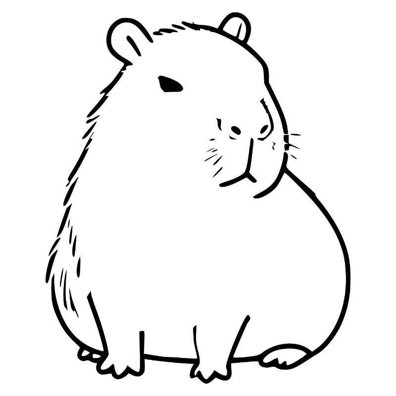 Capybara capybara noir