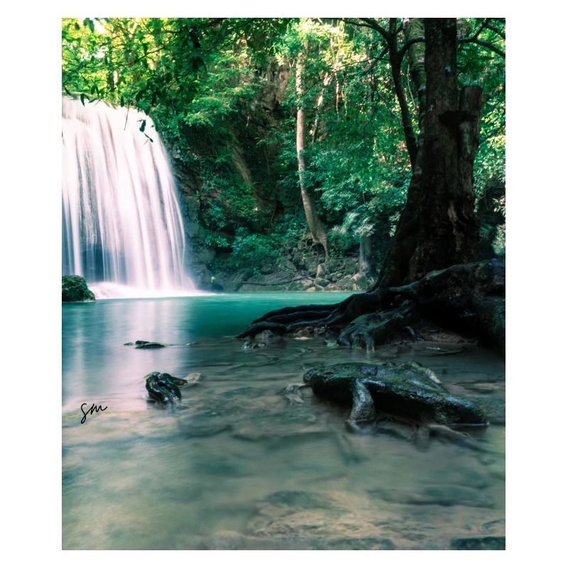 Cascade verte dans la forêt