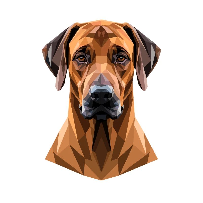 Rhodesian Ridgeback Jagdhund Hunde Stolz Ridgeback
