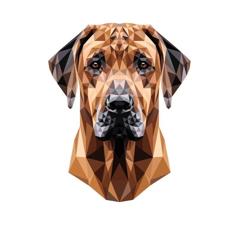 Chiens de chasse Rhodesian Ridgeback Pride Ridgeback