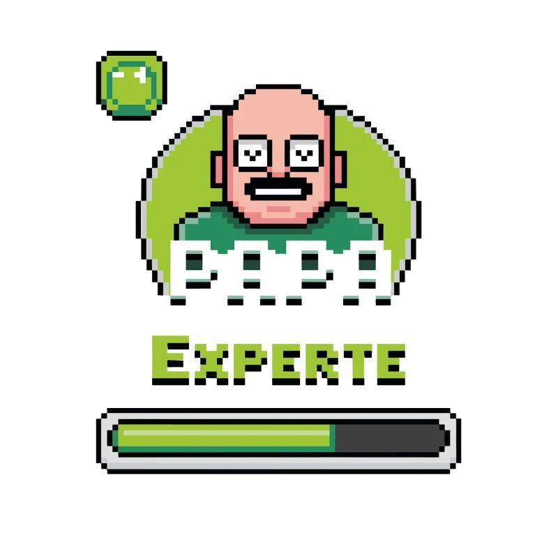 Papa Gaming Experte Level Design