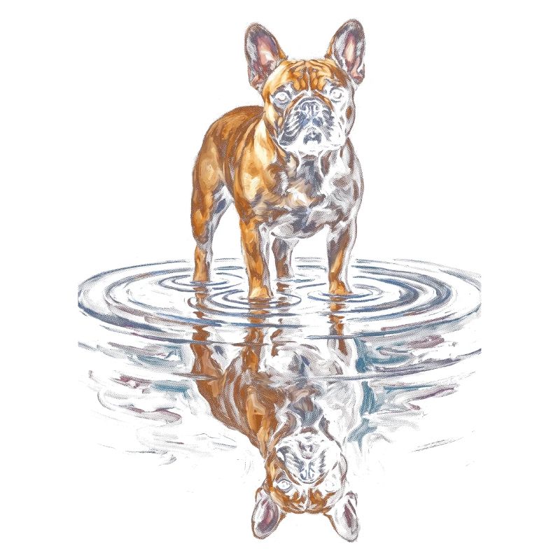 French Bulldog Water Reflection