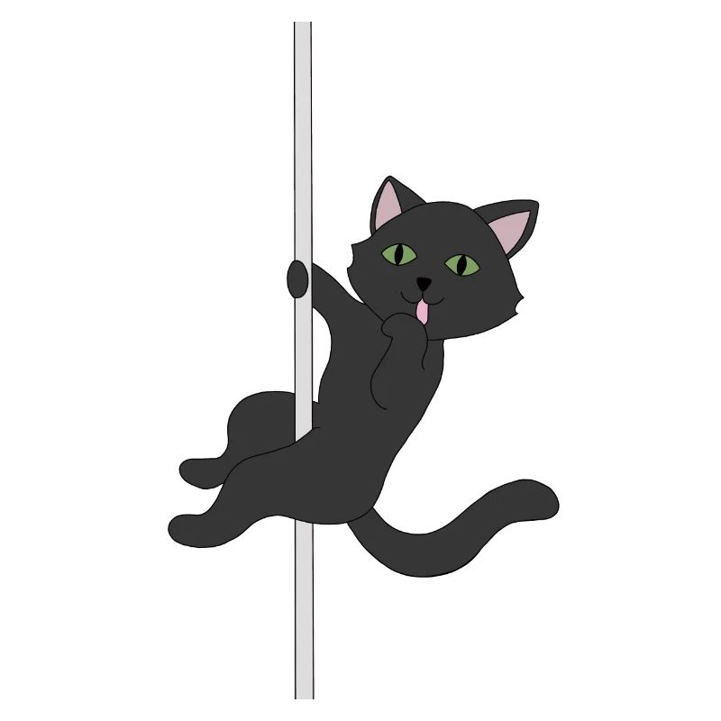 Black cat black cat pole dance meow