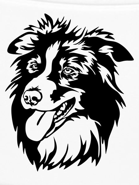 Border Collie Kopf