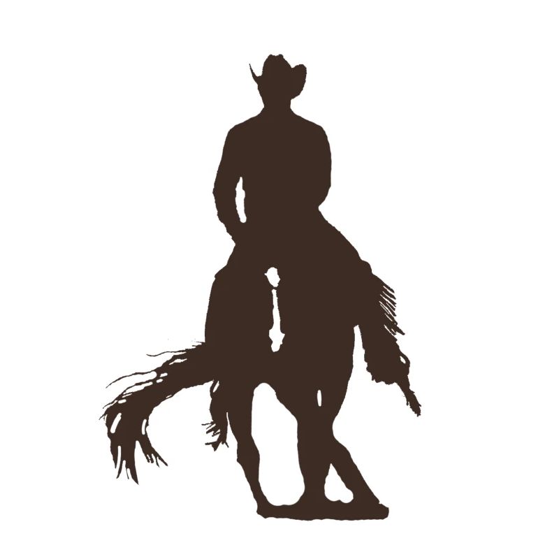 Spin - Cowboy