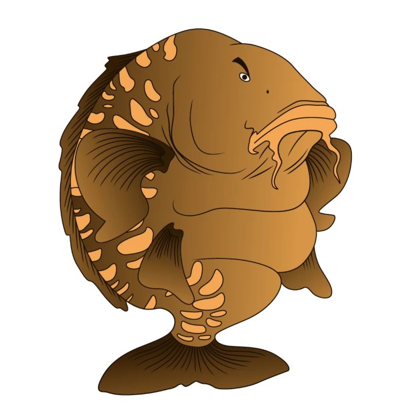 Design de pêche de la carpe miroir en forme de dessin animé