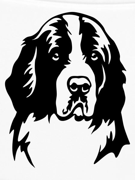 Landseer Kopf