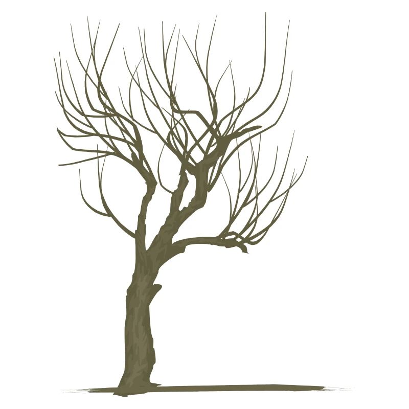 Baum ohne Blätter - modificated