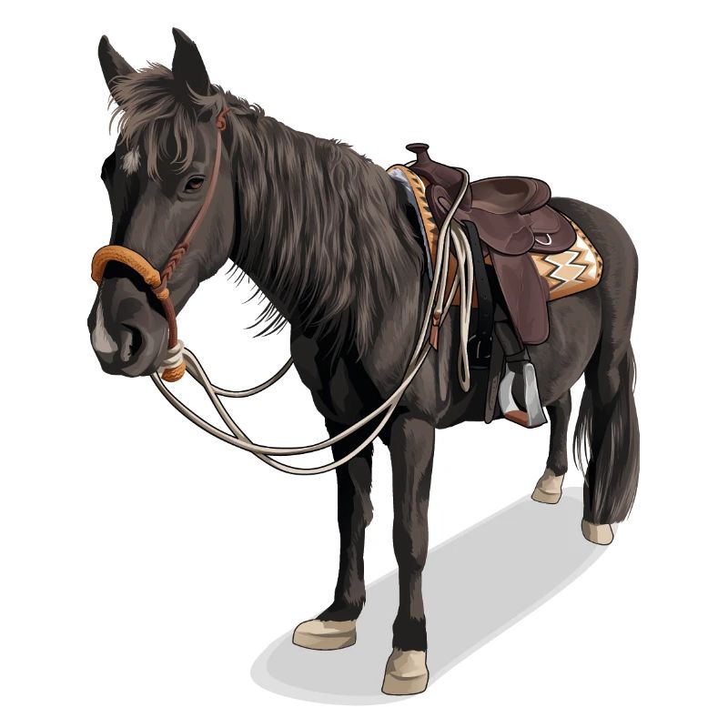 Pferd // Illustration