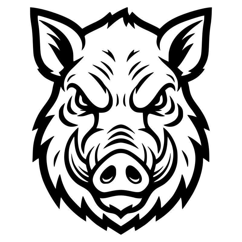 Wild Boar Head Boar Aggressive Vector