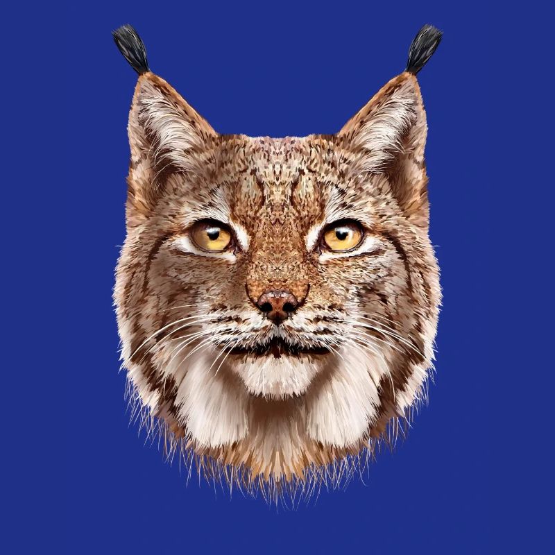 Luchs