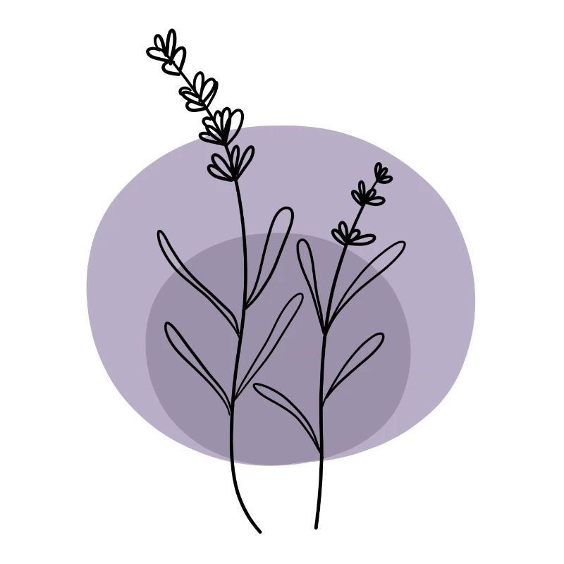 Lavendel schwarz lila
