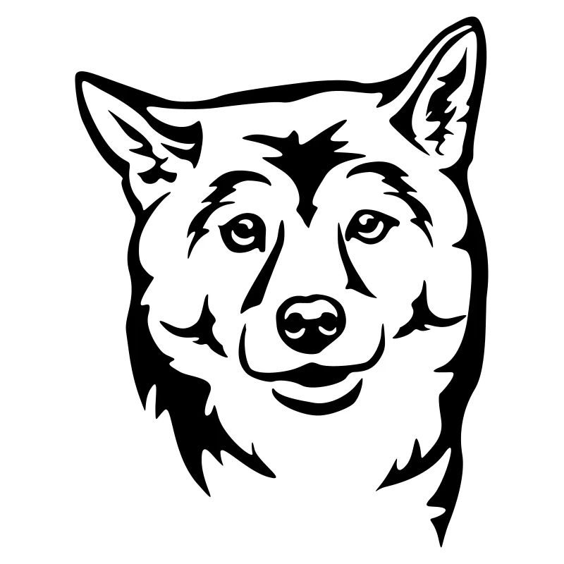 Shiba Head