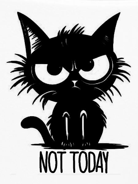 Not Today Katze Geschenkidee