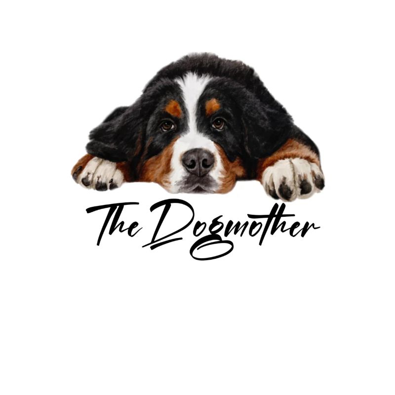 Bernese mountain dog