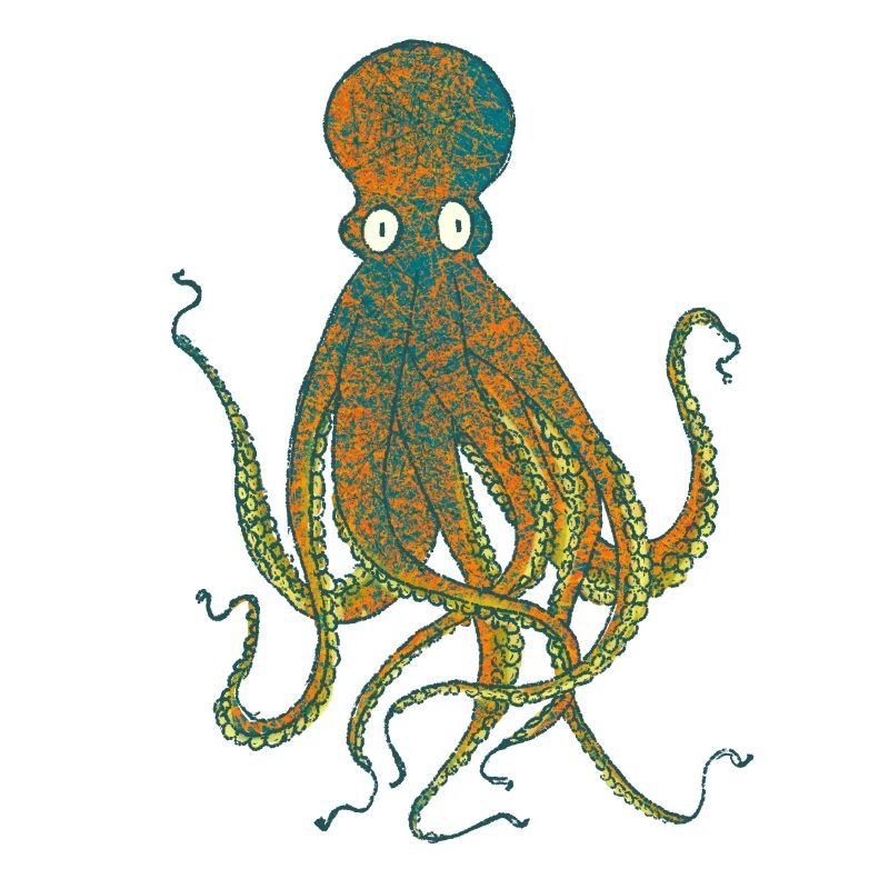 Krake