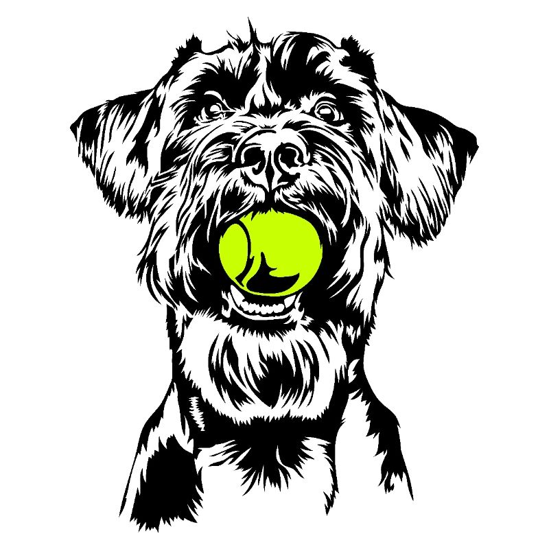 Schnauzer géant Schnauzer chien chien Wilsigns