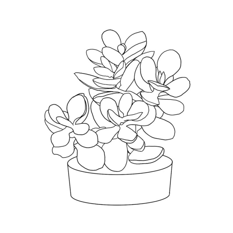 Planter