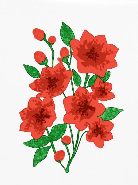 Blühende Anmut : Dunkelrosa Blüten