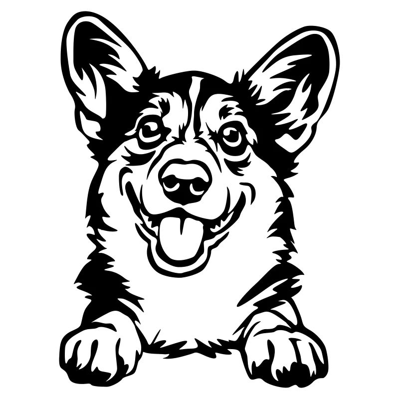 Welsh Corgi